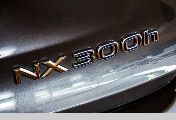 2019 Lexus NX NX300hE-CVTAWDFSport Automatic